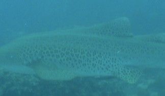 3f263a4f-863d-449a-8cba-0cce486d76f6