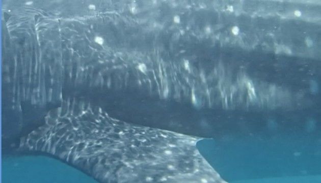 73f3eb63-24e2-414d-ab77-db41f46c2985