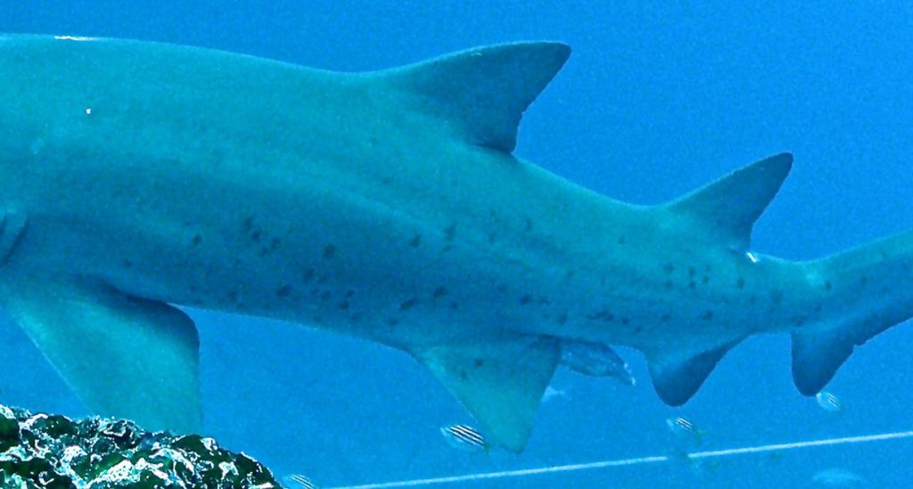 a114fb3a-283a-4974-9992-2ee165160787