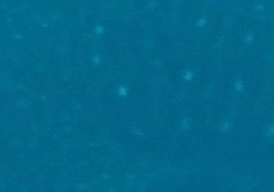 817a0d0d-82dc-4963-b385-e896013f606e