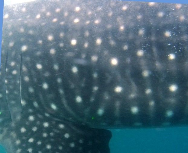 d070107d-9ca9-4fdf-8201-2db6d40c54f3