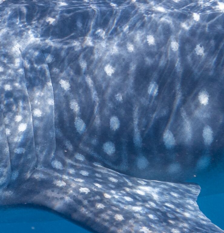 29751c11-7ebe-4998-9a89-ce1f7bade4e2