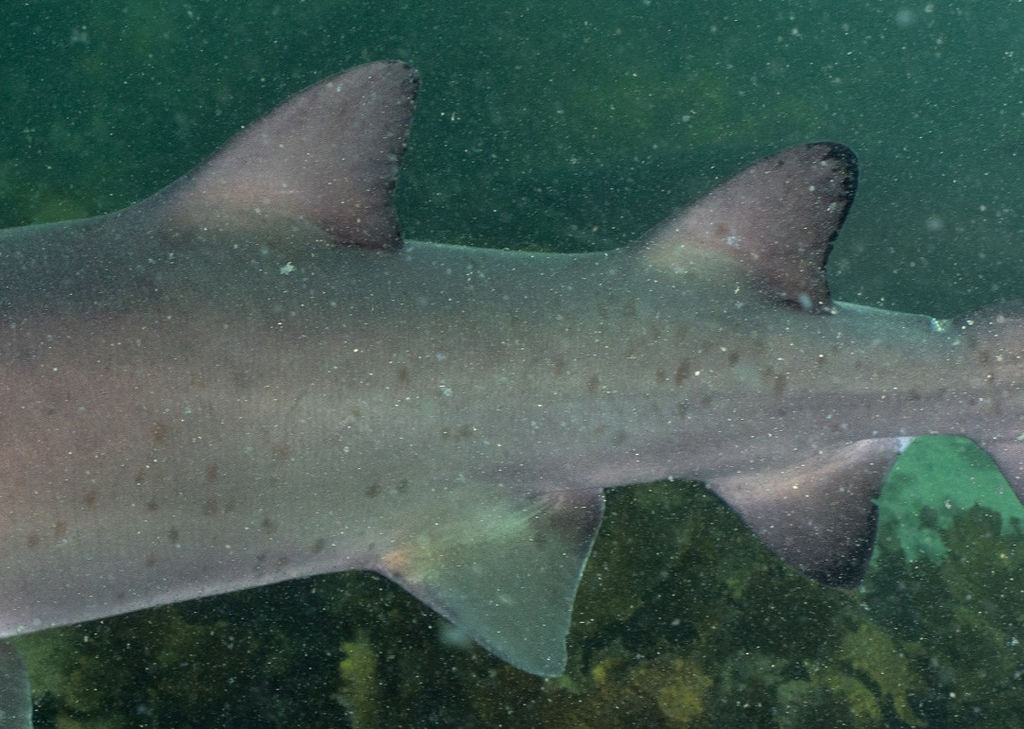 0db0d8ce-1f9a-4563-bd61-f446e8d00543