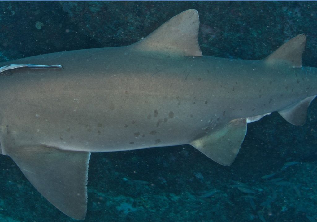 bd455e6d-6ae6-448e-93a4-2bd1b629b438