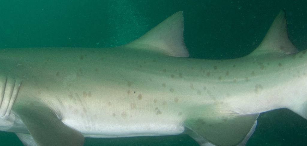 466bfa15-06fe-429b-95c3-5abdd5704bb3