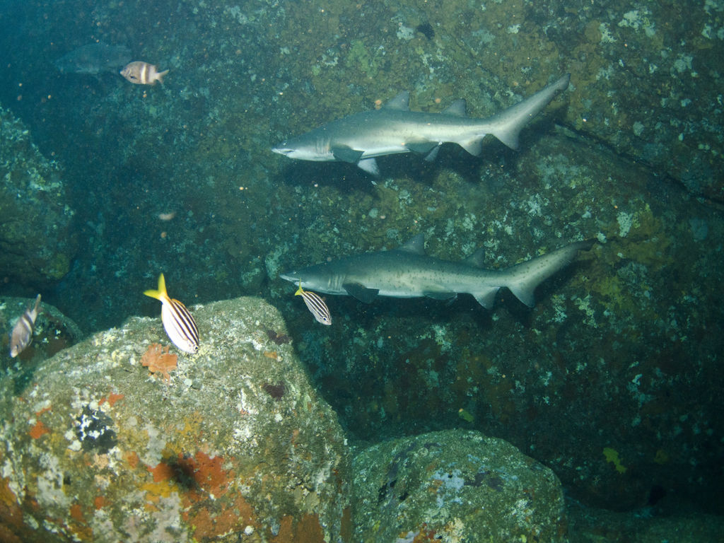 18159f0d-c865-4b5f-8bc7-e2c42bb7ab1a