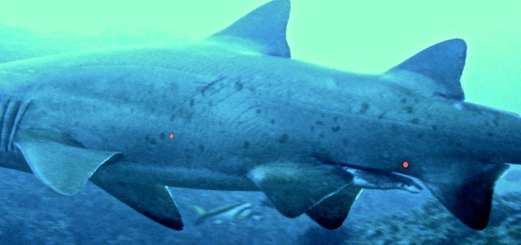 39d3234c-5a58-448c-9640-24471a8b7356