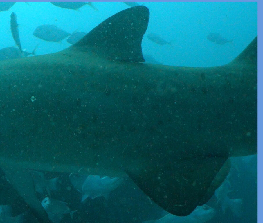 ec3d3636-cee4-4c1a-b366-dda0b8f3b512