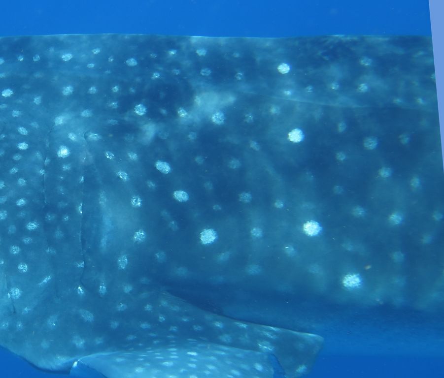 b0f14b74-47da-471e-ae0c-0bf8e5f1eb5f