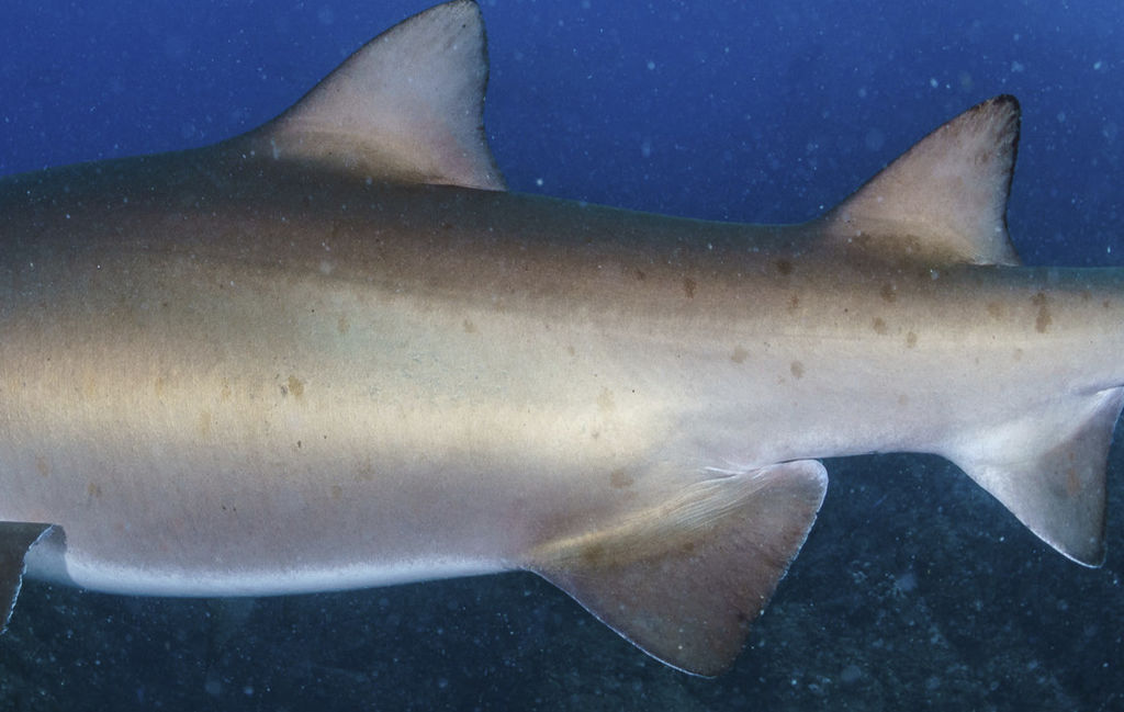 9bb9b923-eb2f-4d9f-9b8e-0a8e39c4c8ae