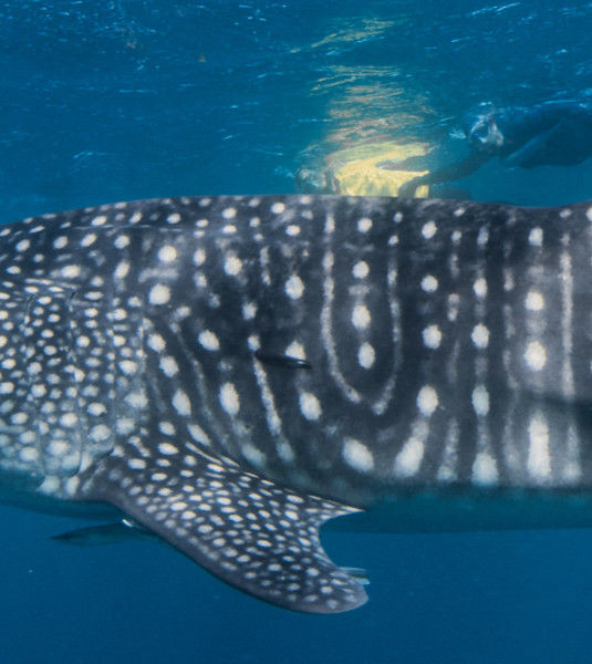 81266e96-71c9-4636-a5f9-b51a1c309e03