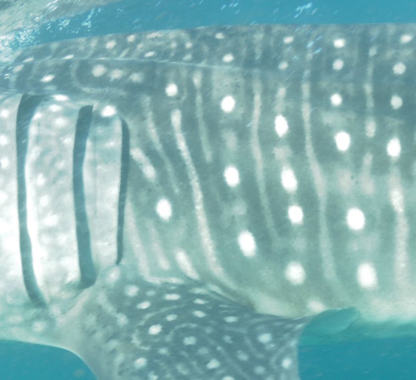 ae567d3b-7c7a-4195-9d61-f9f28b74a668