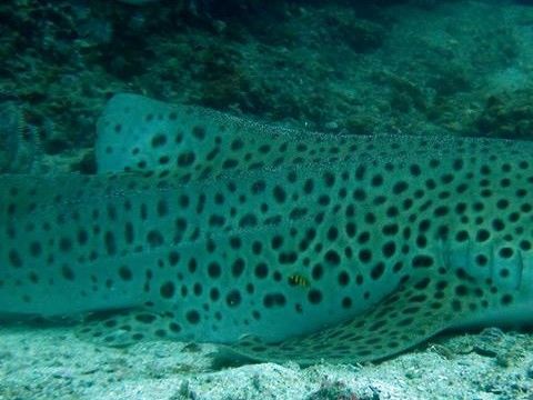 3b9f4e65-5bc8-4072-b181-f3f5d677cb39