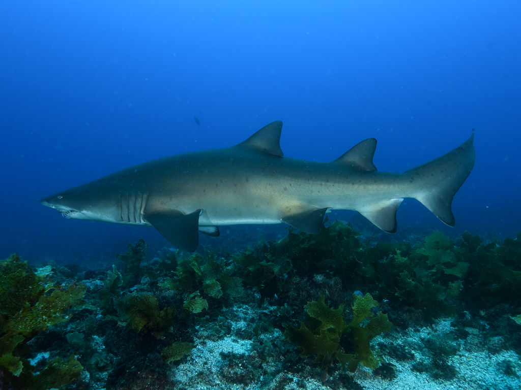 6b1b94cb-9994-4335-9b20-e870b1cf7ad1