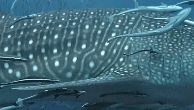 d9e84bbf-ae14-4655-b770-1c3507580244