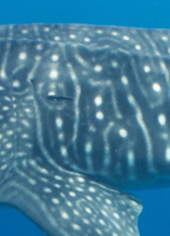 d85680b4-6617-4b04-8e26-d180823e5d00