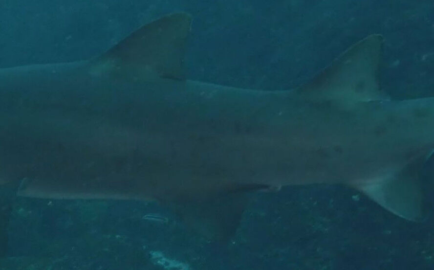 b1a8977e-8054-49b7-8406-257173e80979