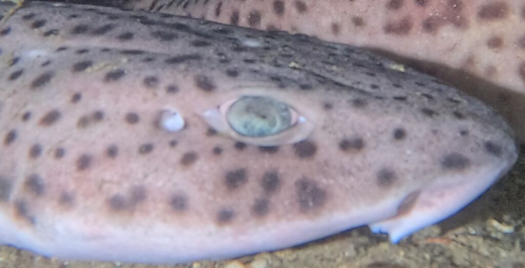 51f70797-b6e4-4b5e-944b-353a105df54e