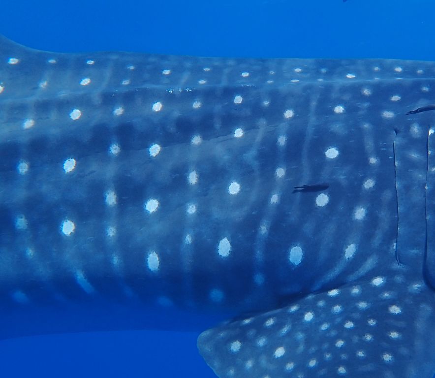 b4166346-e259-4c6a-8fdc-35178aebd756