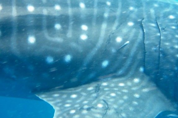 673d2b97-9778-4989-9f44-ca51220a1c58