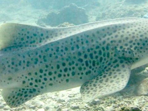 d59a091c-493d-4bcb-95ee-4b333a268e13