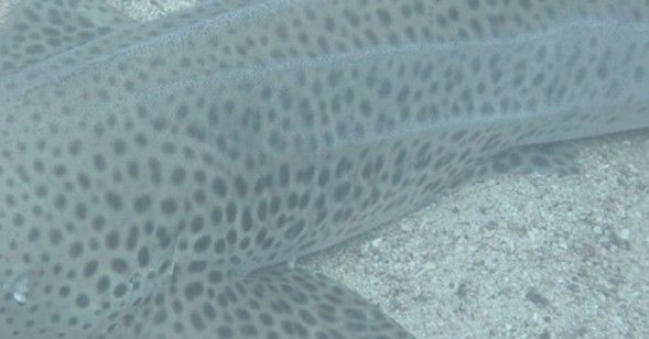 64192634-0d4f-4c8f-bd82-72d23e55dbfc