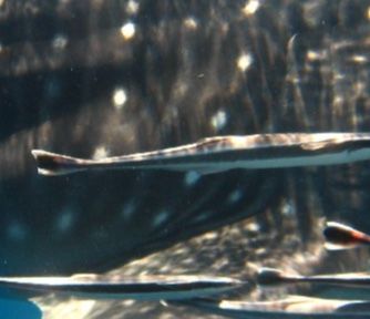 6680d1d6-354f-4c67-8497-4370b8cc14ae