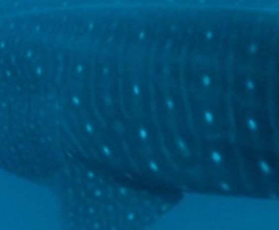 c12b2aba-45d3-4c94-b9a7-da6a6c090281