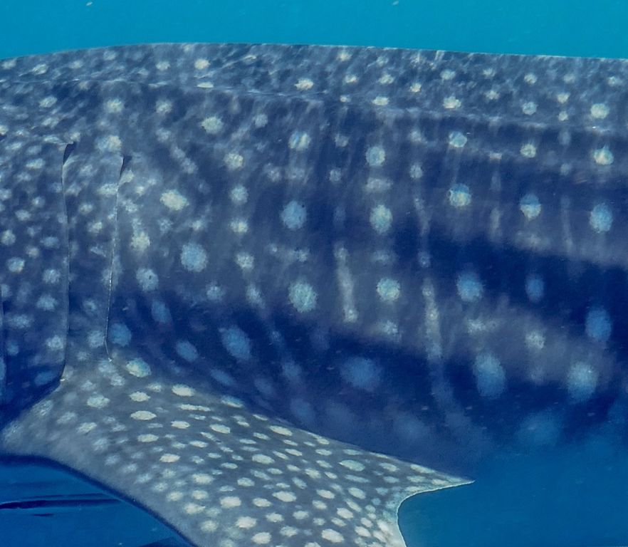 5484227b-94f9-4328-bf60-33688b4e7e54