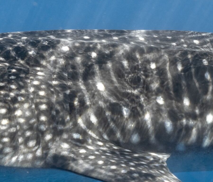 3da6b70d-b913-43ff-b83c-720cca9fafe2