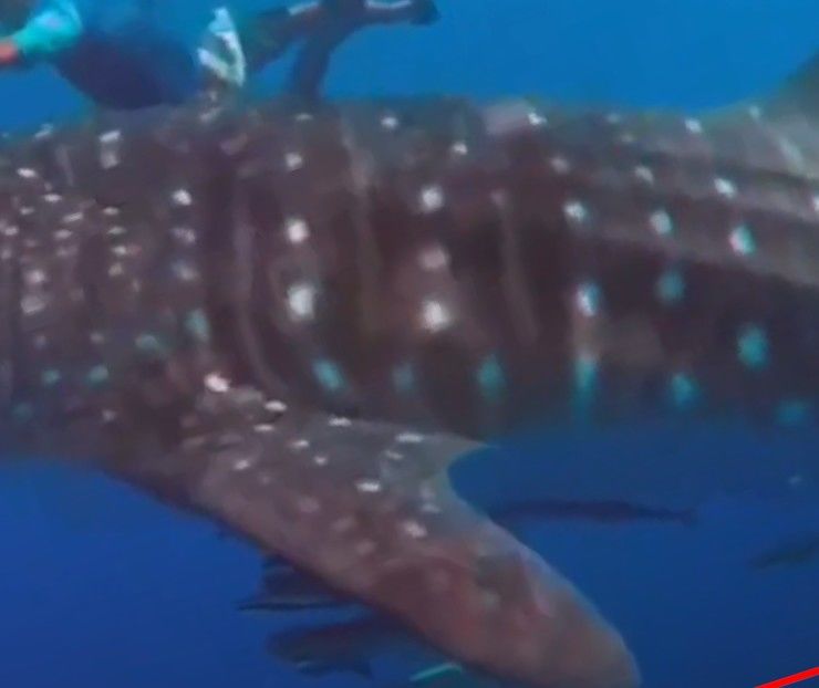 5005cb34-5860-492b-a9d5-91d9aa55f699