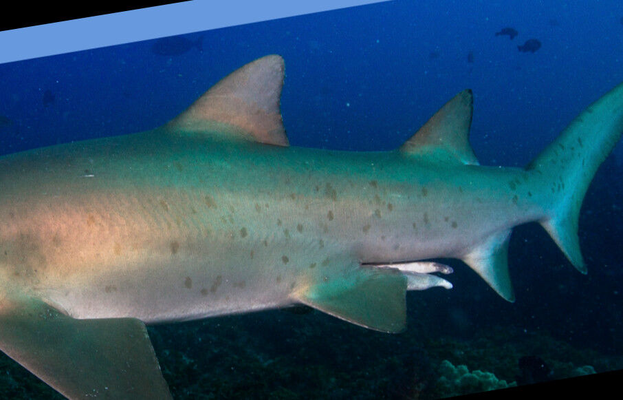 3aa70d6a-5bbe-4294-8f42-e35f907a1710