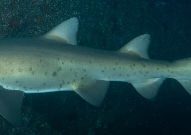 86288038-aaef-4318-ba15-1ba404348b18