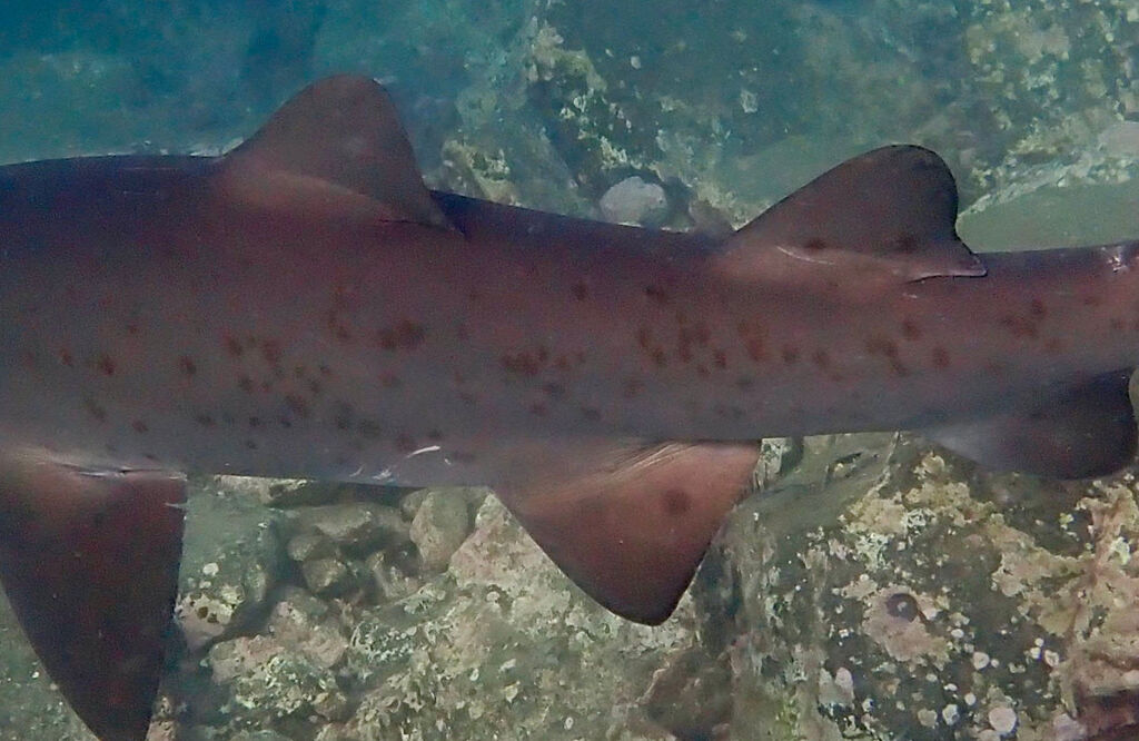 8cbfa3e7-9fa3-4399-8835-3cb3daa20afa