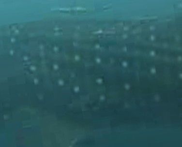 3fa4dc50-b0a2-4d47-a8e1-224f9cf53447