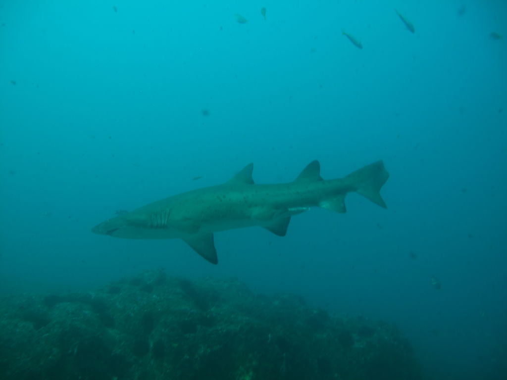 5a533c46-f324-4b1a-ba78-87adca93eeb2