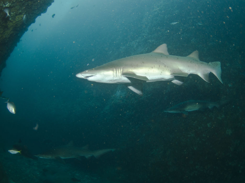 6cdb97ab-081c-4377-b915-c89a26ac2860