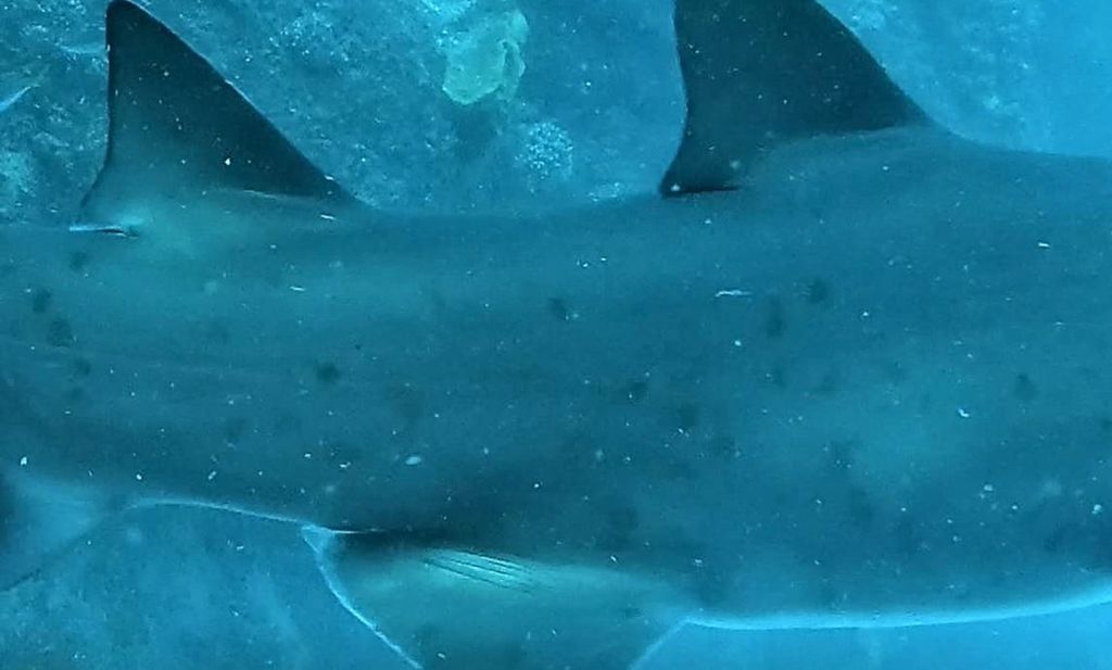 d34beb22-d011-4ba2-8565-3cd455f235ce