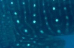 d547ca3b-e79f-4b35-b34f-128cd59056de