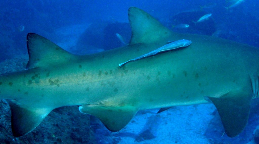 3080a780-6e2f-4072-88e7-64e8890f7630