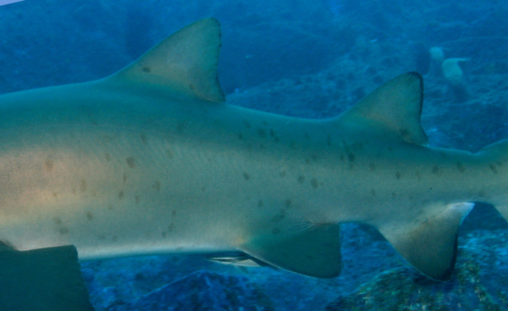 3080a780-6e2f-4072-88e7-64e8890f7630