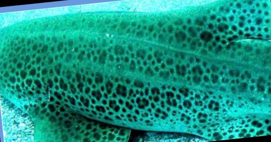 015b80a5-afb8-4be0-9e85-55dd2cc4e480