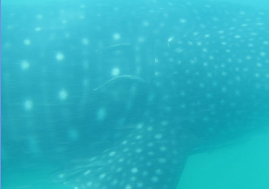 c30506a3-2913-4c4f-8ebd-80cb8874623d