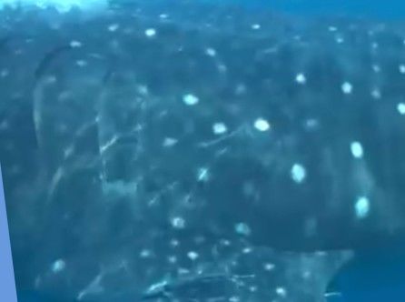 7202e1c1-4966-4b4b-8d98-adb61f4b2c69