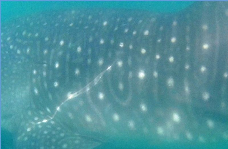 4c317b05-9990-46ac-b171-4f5ac55bb3b5