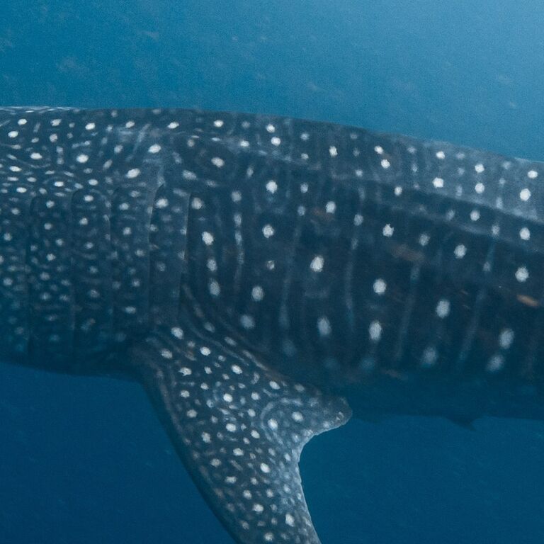 9e6f2d6e-3083-4763-8100-b3b2648e57c9