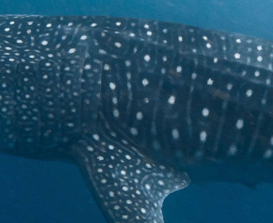 9e6f2d6e-3083-4763-8100-b3b2648e57c9