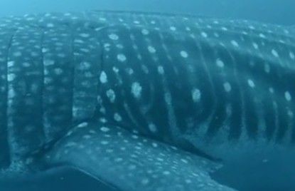 be8c70b2-ddaa-4cd0-b79f-fa0fbf8e880d