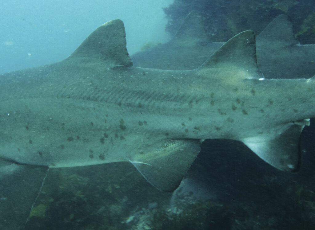 47094b36-b8b0-49a2-bc47-4eb20f0be913