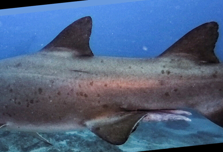 bc632402-73b6-4e36-8a86-b00c4c4c4960